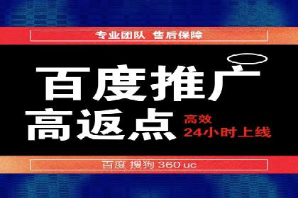 某公司SEO与SEM整合营销的全程记录